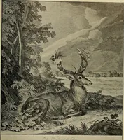 Picture 198 of 241 from Sport in art; an iconography of sport during four hundred years from the beginning of the fifteenth of the end of the eighteenth centuries (1913), leaf 336