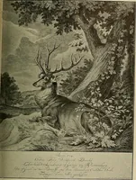 Picture 199 of 241 from Sport in art; an iconography of sport during four hundred years from the beginning of the fifteenth of the end of the eighteenth centuries (1913), leaf 338
