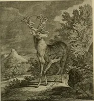 Picture 201 of 241 from Sport in art; an iconography of sport during four hundred years from the beginning of the fifteenth of the end of the eighteenth centuries (1913), leaf 339