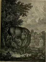 Picture 203 of 241 from Sport in art; an iconography of sport during four hundred years from the beginning of the fifteenth of the end of the eighteenth centuries (1913), leaf 340