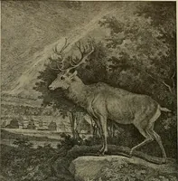 Picture 204 of 241 from Sport in art; an iconography of sport during four hundred years from the beginning of the fifteenth of the end of the eighteenth centuries (1913), leaf 340