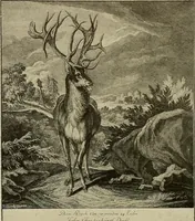 Picture 206 of 241 from Sport in art; an iconography of sport during four hundred years from the beginning of the fifteenth of the end of the eighteenth centuries (1913), leaf 342