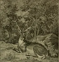 Picture 207 of 241 from Sport in art; an iconography of sport during four hundred years from the beginning of the fifteenth of the end of the eighteenth centuries (1913), leaf 343