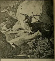 Picture 208 of 241 from Sport in art; an iconography of sport during four hundred years from the beginning of the fifteenth of the end of the eighteenth centuries (1913), leaf 343