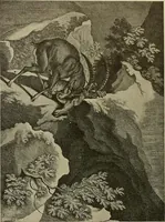 Picture 213 of 241 from Sport in art; an iconography of sport during four hundred years from the beginning of the fifteenth of the end of the eighteenth centuries (1913), leaf 348