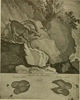 An illustration from Sport in art; an iconography of sport during four hundred years from the beginning of the fifteenth of the end of the eighteenth centuries (1913)