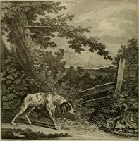Picture 224 of 241 from Sport in art; an iconography of sport during four hundred years from the beginning of the fifteenth of the end of the eighteenth centuries (1913), leaf 361