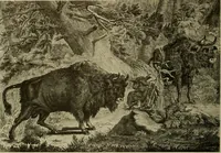 Picture 232 of 241 from Sport in art; an iconography of sport during four hundred years from the beginning of the fifteenth of the end of the eighteenth centuries (1913), leaf 369