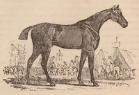 An illustration from Sporting anecdotes, original and selected; 1825 (1825)