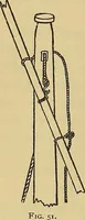Picture 41 of 56 from Sports and games (1903), leaf 169