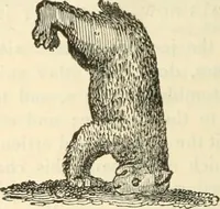 An illustration from The sports and pastimes of the people of England : Including the rural and domestic recreations, May games, mummeries, shows, processions, pageants, and pompous spectacles, from the earliest period to the present time (1845)