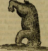 An illustration from The sports and pastimes of the people of England : including the rural and domestic recreations, May games, mummeries, shows, processions, pageants, and pompous spectacles, from the earliest period to the present time (1830)