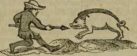Picture 2 of 126 from The sports and pastimes of the people of England : including the rural and domestic recreations, May games, mummeries, shows, processions, pageants, and pompous spectacles, from the earliest period to the present time (1830), leaf 76