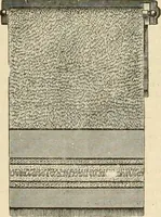 An illustration from Spring & summer fashion catalogue. (1898)