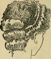 An illustration from Spring & summer fashion catalogue. (1898)