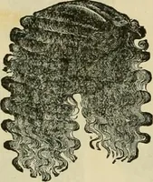 An illustration from Spring & summer fashion catalogue. (1898)