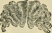 An illustration from Spring & summer fashion catalogue. (1898)