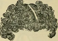 An illustration from Spring & summer fashion catalogue. (1898)