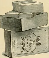 An illustration from Spring & summer fashion catalogue. (1898)