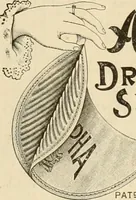 An illustration from Spring & summer fashion catalogue. (1898)