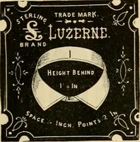 An illustration from Spring & summer fashion catalogue. (1898)