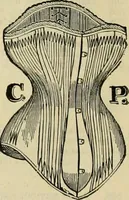 An illustration from Spring & summer fashion catalogue. (1898)