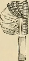 An illustration from Spring & summer fashion catalogue. (1898)