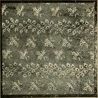 An illustration from Spring & summer fashion catalogue. (1898)