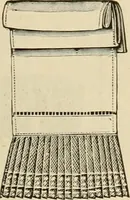 An illustration from Spring & summer fashion catalogue. (1898)