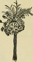 An illustration from Spring & summer fashion catalogue. (1898)