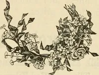 An illustration from Spring & summer fashion catalogue. (1898)