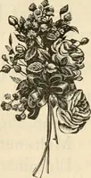 An illustration from Spring & summer fashion catalogue. (1898)