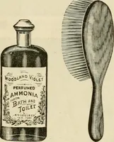 An illustration from Spring & summer fashion catalogue. (1898)