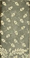An illustration from Spring & summer fashion catalogue. (1898)