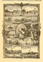 Picture 14 of 16 from The Springfield wheelmen's gazette (1883), leaf 338