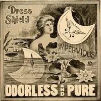 An illustration from Spring and summer catalog. (1903)