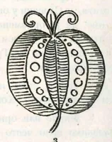 Picture 7 of 11 from Srpski vez - prvi svezak (1896), leaf 27