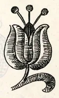 An illustration from Srpski vez - prvi svezak (1896)