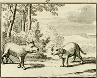 An illustration from Staat- en zedekundige zinneprenten, of, Leerzame fabelen (1731)