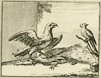 An illustration from Staat- en zedekundige zinneprenten, of, Leerzame fabelen (1731)