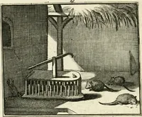 Picture 40 of 132 from Staat- en zedekundige zinneprenten, of, Leerzame fabelen (1731), leaf 143
