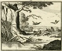 An illustration from Staat- en zedekundige zinneprenten, of, Leerzame fabelen (1731)