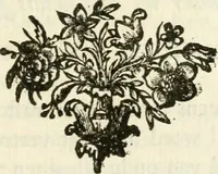 An illustration from Staat- en zedekundige zinneprenten, of, Leerzame fabelen (1731)
