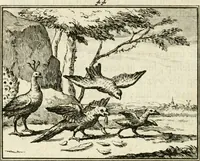 Picture 62 of 132 from Staat- en zedekundige zinneprenten, of, Leerzame fabelen (1731), leaf 191