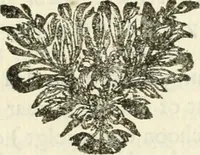 An illustration from Staat- en zedekundige zinneprenten, of, Leerzame fabelen (1731)