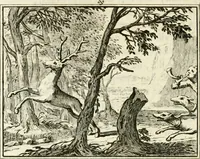 An illustration from Staat- en zedekundige zinneprenten, of, Leerzame fabelen (1731)