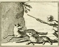 An illustration from Staat- en zedekundige zinneprenten, of, Leerzame fabelen (1731)