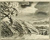 An illustration from Staat- en zedekundige zinneprenten, of, Leerzame fabelen (1731)