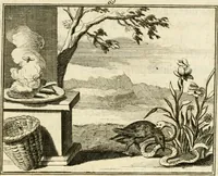 Picture 117 of 132 from Staat- en zedekundige zinneprenten, of, Leerzame fabelen (1731), leaf 328