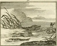 An illustration from Staat- en zedekundige zinneprenten, of, Leerzame fabelen (1731)